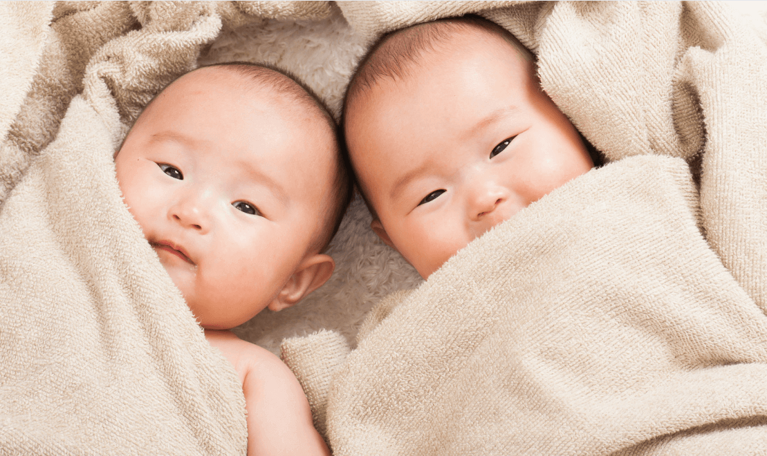 What to Eat to Get Pregnant With Twins Naturally  | Guide to Increasing the Chances of Conceiving Twins